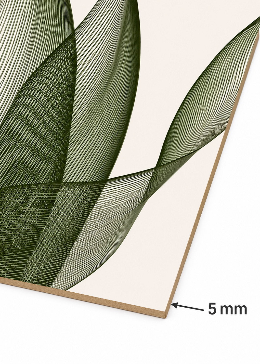 Cuadro Decorativo Sin Marco - MDF 9mm Botánicos Plantas Botanic Vibes XXV - foto 6