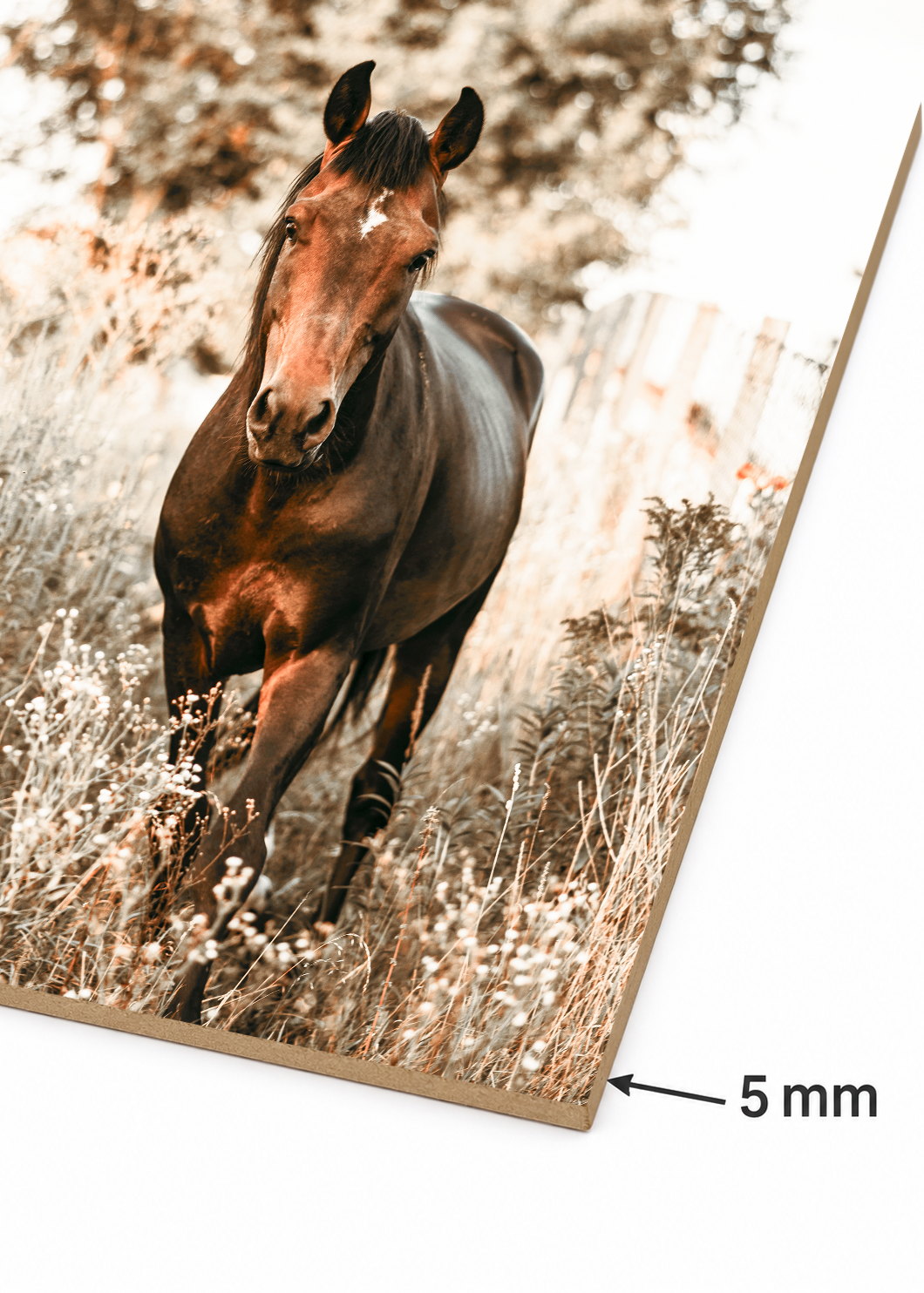 Cuadro Decorativo Sin Marco - MDF 9mm Caballos Amantes de los Caballos XXVIII - foto 6