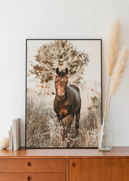 Cuadro Decorativo Animales, Marco Natural Amantes de los caballos