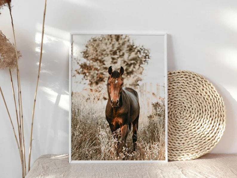 Cuadro Decorativo Animales, Marco Natural Amantes de los caballos