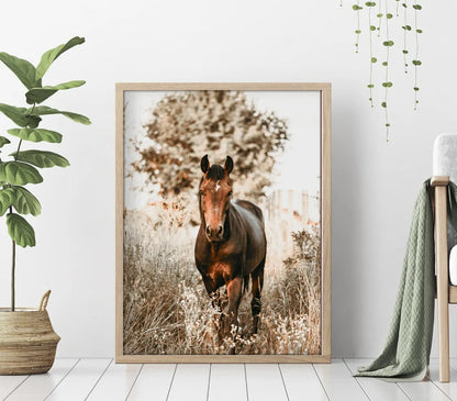 Cuadro Decorativo Animales, Marco Natural Amantes de los caballos