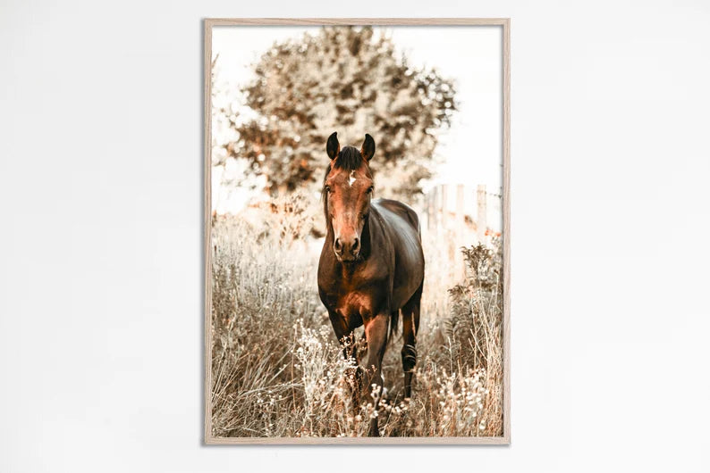 Cuadro Decorativo Animales, Marco Natural Amantes de los caballos