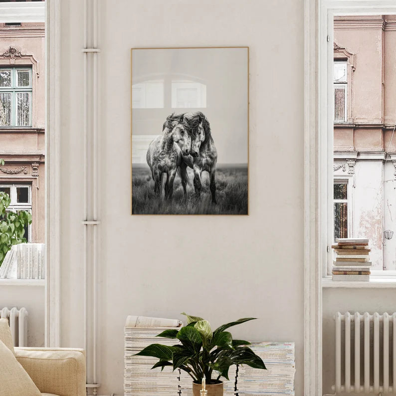 Cuadro Decorativo Animales, Marco Natural Amantes de los caballos