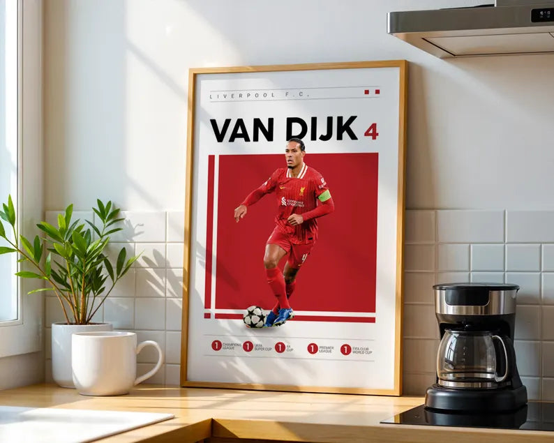 Cuadro Decorativo Póster Fútbol, Van Dijk